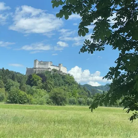 Bergblick Apartment *